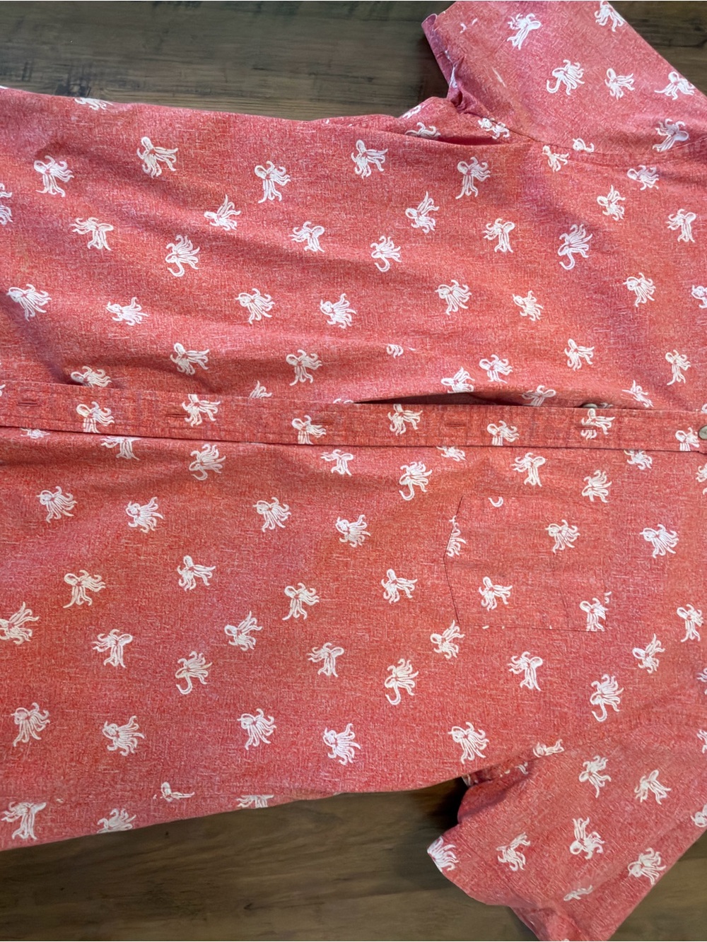 Men's Button-Down Shirt (Printed)